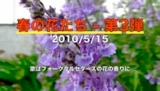 100515flowers.mp4