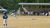 80831_2.5tp